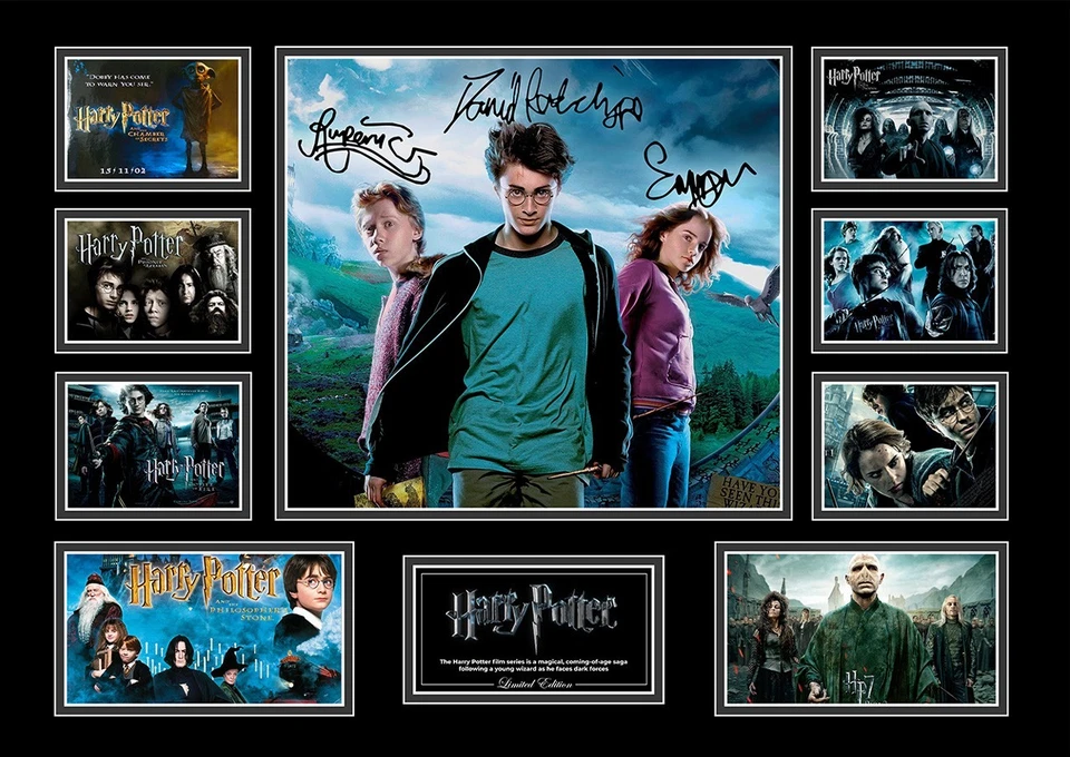 HARRY POTTER COLLECTION DANIEL RADCLIFFE WATSON FRAMED MEMORABILIA - image 2 of 2