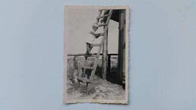Photo 11R534 Child on a LadderHigh Dune Darß circa 1940s approx 6x9cm