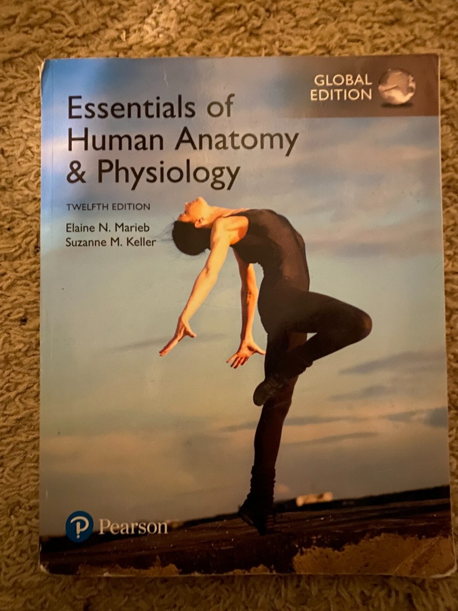 Essentials Of Human Anatomy Physiology 12th Edition Pearson Anatomy