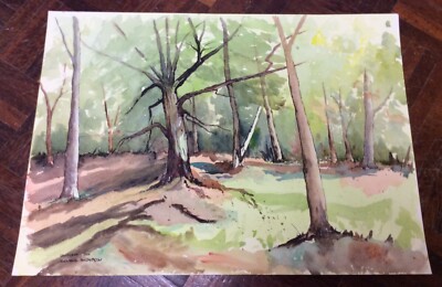 Aquarell Gemälde, Waldsonne von Donald Anderson