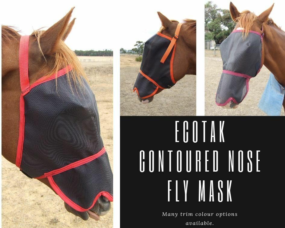 Black Fly Mask With Aqua Trim For Horses - Ecotak Design, Lightweight Veil Protection From Insects