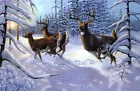 Canvas Print White-tailed Deer Oil painting Picture printed canvas Giclee