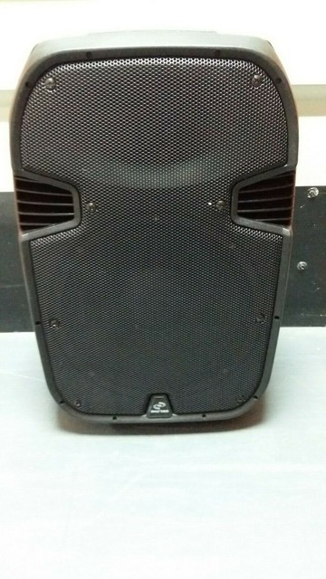 pyle pro 12 inch speakers