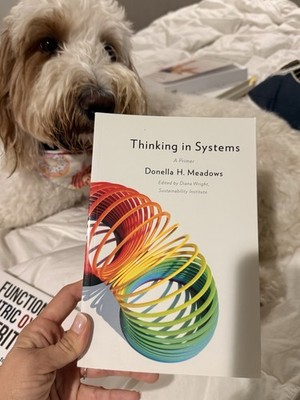 Donella H. Meadows Thinking in Systems: A Primer Paperback 2008 English Systems