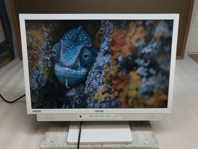 Epson LD22W81S 22-inch Wide TFT 50/60 Hz LCD Monitor Set of 2 - HDMI Pwr Cbl Inc