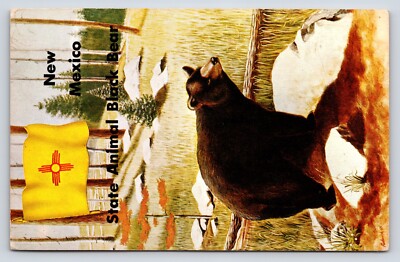 New Mexico State Animal Black Bear Postcard, Colored | eBay