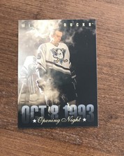 Anaheim Ducks 1993-94 Donruss Opening Night #392 Mighty Ducks Pond
