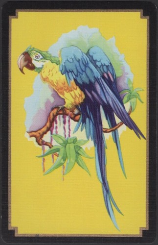 Tarjetas de juego cartas individuales antiguas vintage ** LORO GUACAMAYO ** arte artista pájaro imagen - Imagen 2 de 3