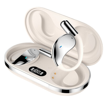 Smart Voice Translation Earbuds 144+ Languages Real Time Translator For iPhone