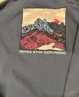 The North Face Hoodie Navy Blue Women’s Size Medium — photo 2