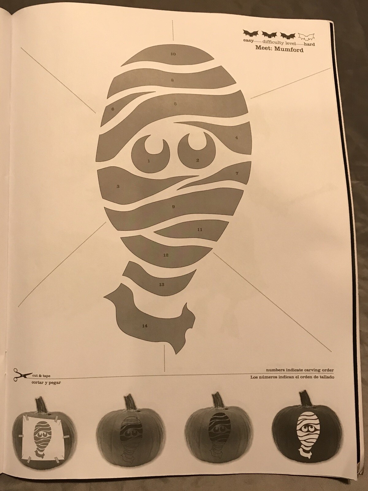 Picture 10 of 12