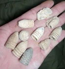 Dug civil war 10 Bullets from The Battle of Antietam Sharpsburg Maryland relic
