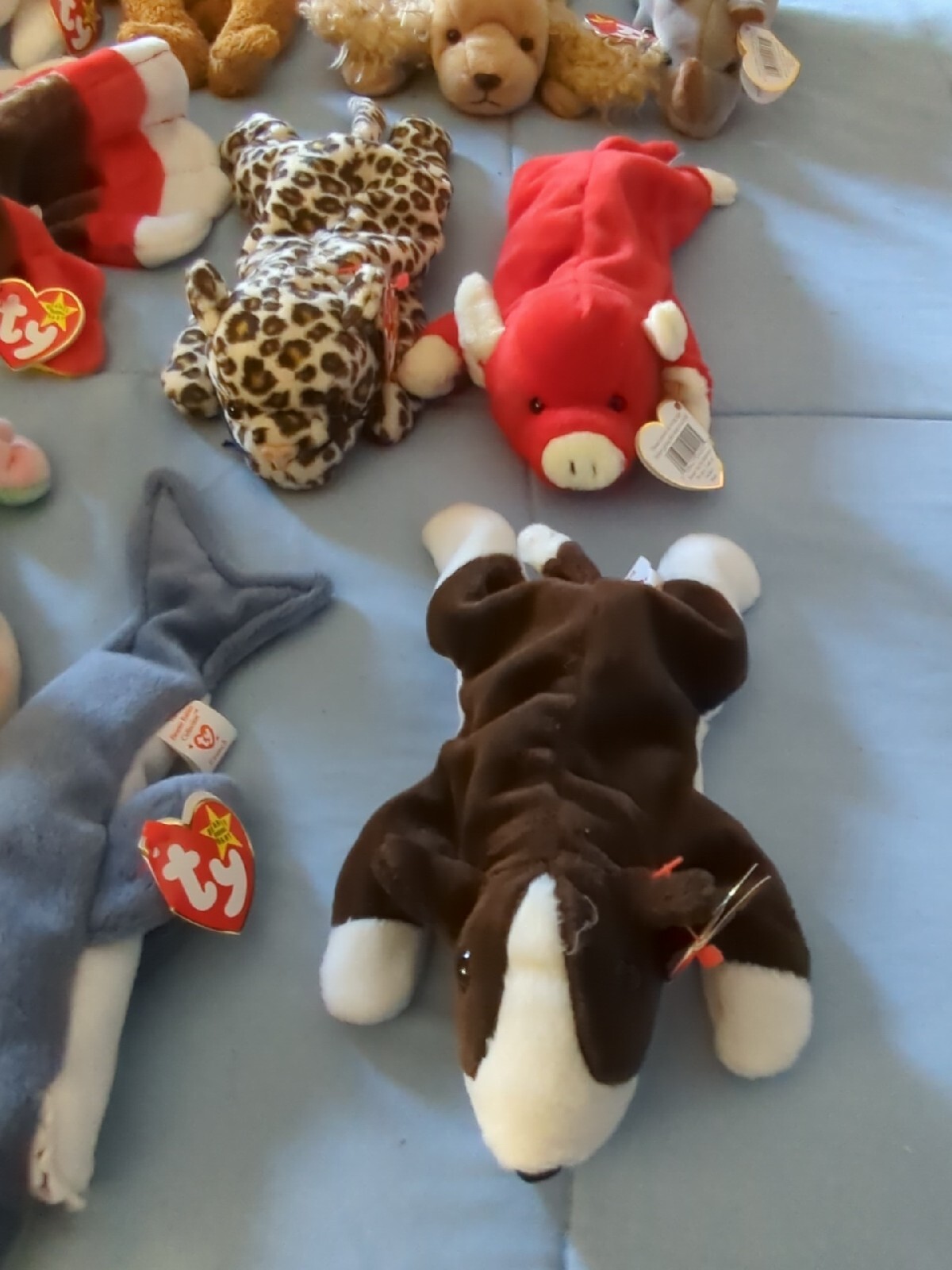 Beanie Baby Collection eBay