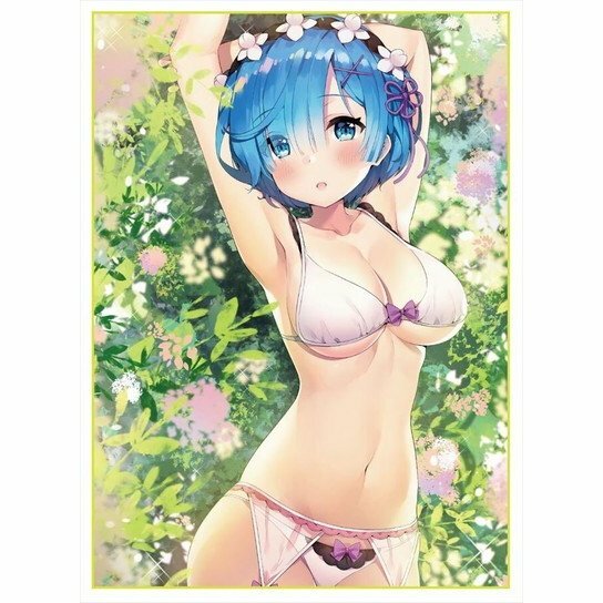 erotic card sleeves Zero Two Code:002 Darling in the Franxx Holographic Kado Supplies Re:Zero Starting Life in Another