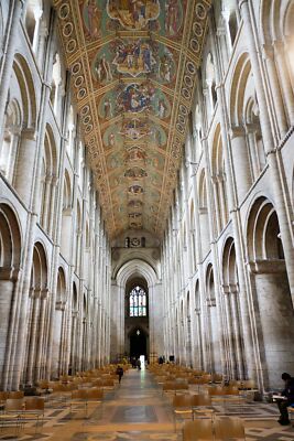 Photo 12x8 The Nave and Ceiling in Ely Cathedral Looking west along the na c2021