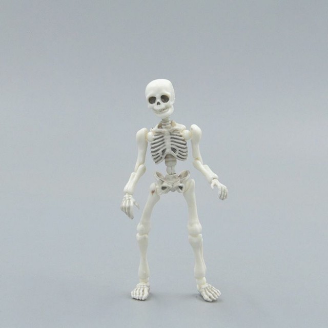 mini skeleton toy