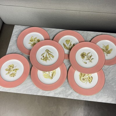 Super Rare 8 Pcs Royal Worcester Hand Painted ''Williamson Flowers'' Dinner Plates