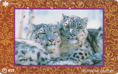 JAPAN - ANIMAL Feline WHITE TIGER - WHITE TIGER Feline JAPAN phonecard