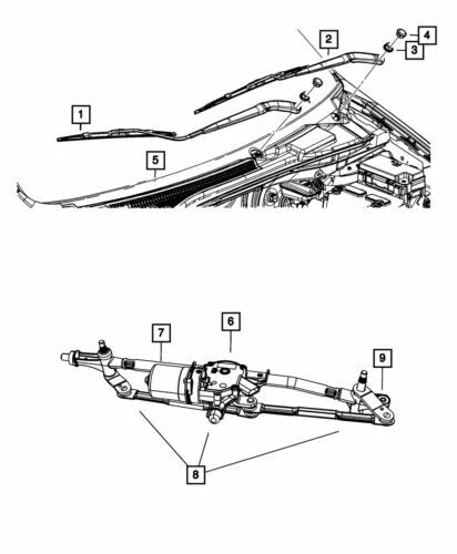 Miniatura 9