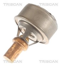 Thermostat Renault FUEGO