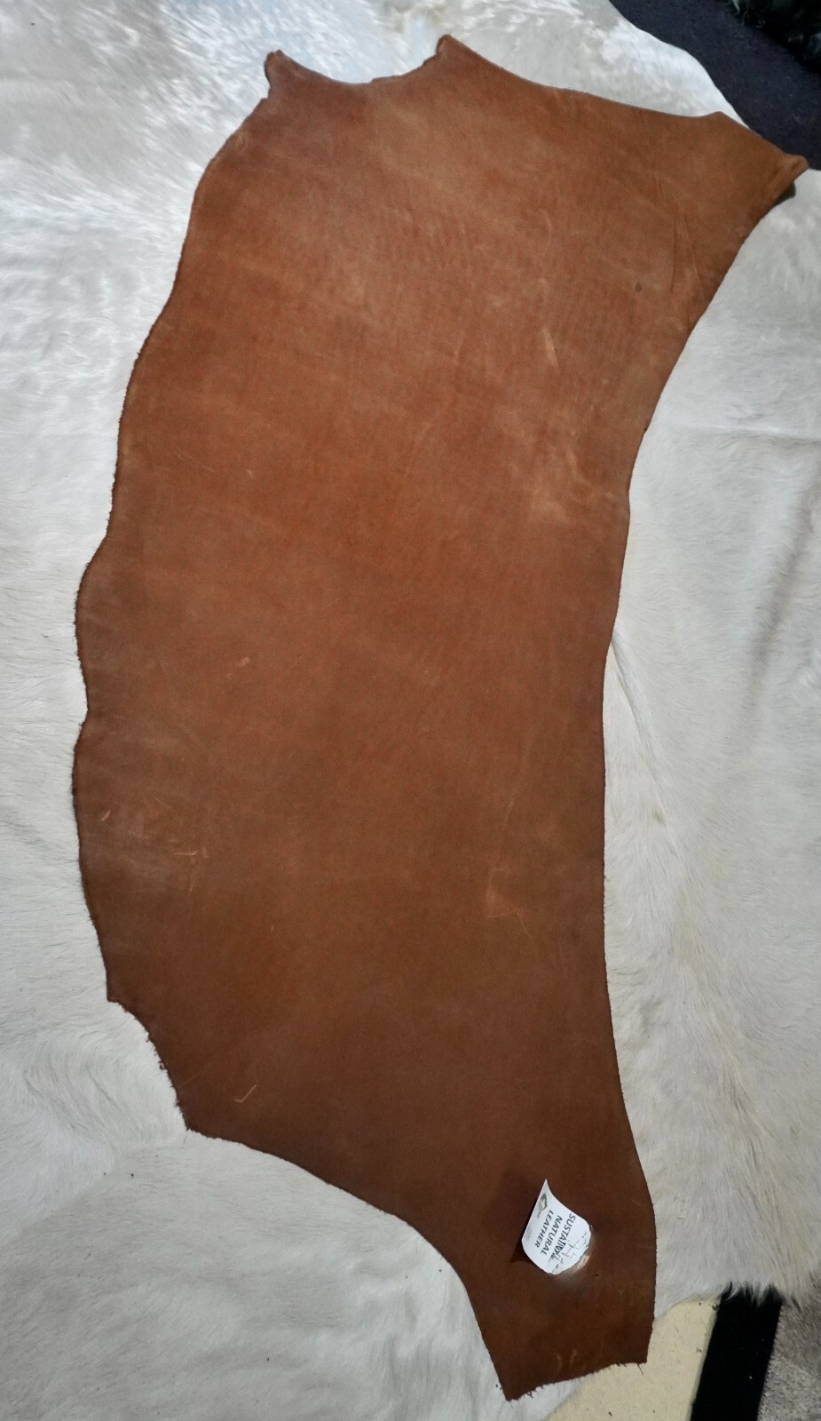 Picture 2 of 8