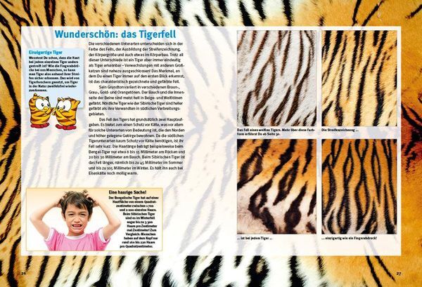 Thumbnail - Entdecke Die Tiger