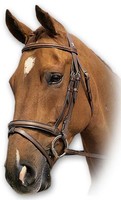 Sabre Hunter Raised Flash Snaffle Bridle Sabre Hunter Raised Flash Snaffle Bridle