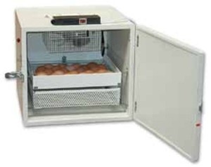 Masalles 1200-0054 Incubator Type 75A THP | eBay