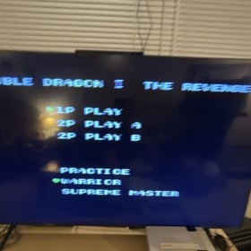 Double Dragon II The Revenge Nintendo NES 1990 probado funcionando con funda