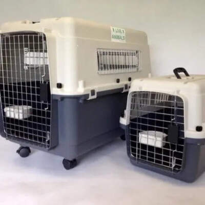 Sky Kennel Airline Approved Pet Carriers For Cargo Petmate Airline