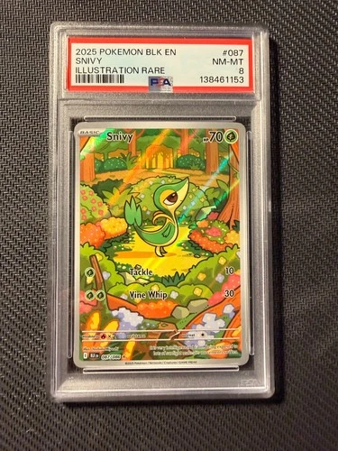 PSA 8 Snivy #87 Pokemon Black Bolt