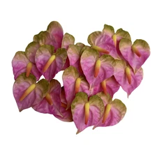20 PCS Anthurium Clay Flower ( 1.8 inches)  for Jewelry Making, Craft Supplies