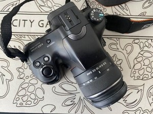 Sony Alpha SLT-A65 24.3MP Digital SLR Camera - High Resolution DSLR