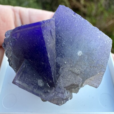 Fluorite Crystal Heights Mine Westgate Stanhope County Durham UK Mounted  Mineral UK