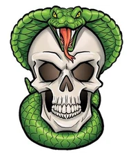 Skull Temporary Tattoo w/ Snake - pack of 2 large sized tattoos  Made in the USA