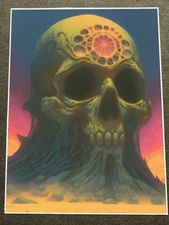 Vibrant and Surreal Skull with Cosmic Design Poster 18x24in
