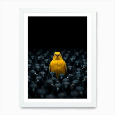 Gelber Vogel in einer Menge schwarzer Bir gerahmtes Wandbild Poster Leinwanddruck Bild