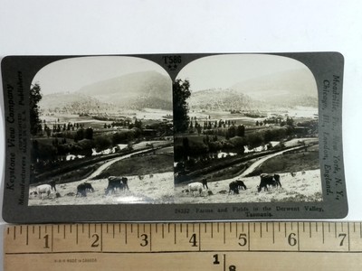 Keystone Stereoview 24352 Farms and Fields in the Derwent Valley Tasmania Scenic