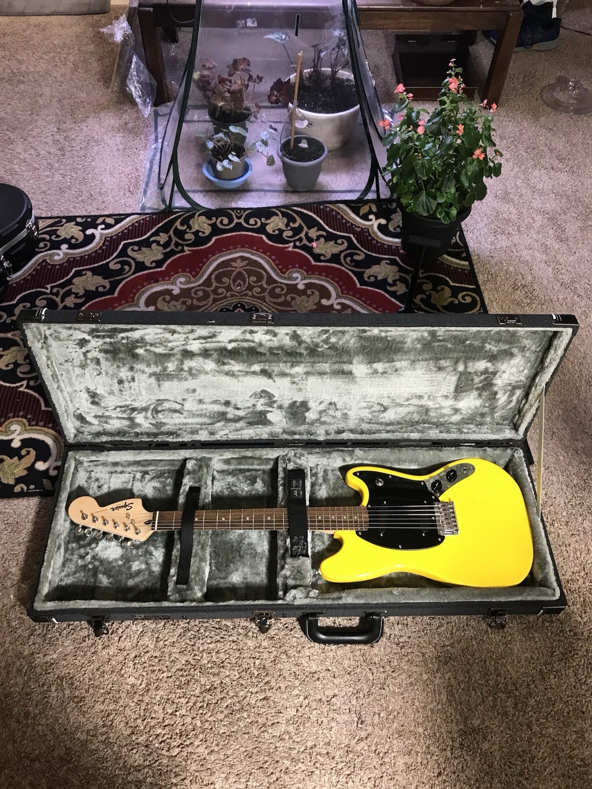 FENDER SQUIER MUSTANG GRAFFITI YELLOW FINISH BEAUTIFUL PRO SET UP +