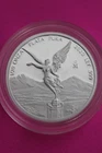 2020 Mexican Silver Libertad 1 oz — photo from another recent sale
