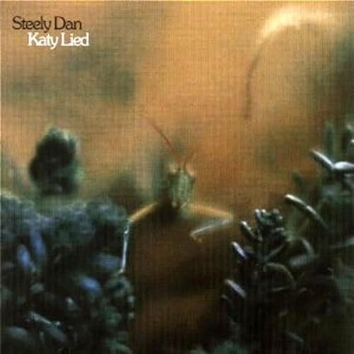Katy Lied 