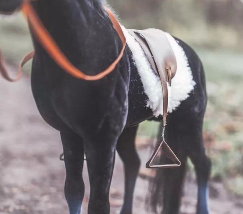 A Girl for ALL Time --- HORSE - FOR 16 INCH DOLLS
