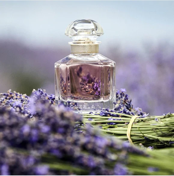 Organza perfume 100ml boots deals