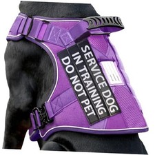 Reflective Service Dog in Training Vest Medium 45-75 lbs Harness-Loyal Purple