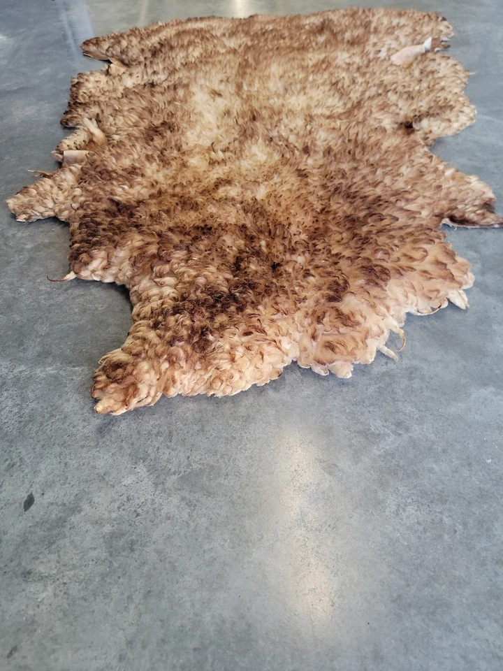 "Alfombra de piel de oveja natural amarillo cremoso con puntas de chocolate ~ 48"" x 33""" Foto 4 de 4