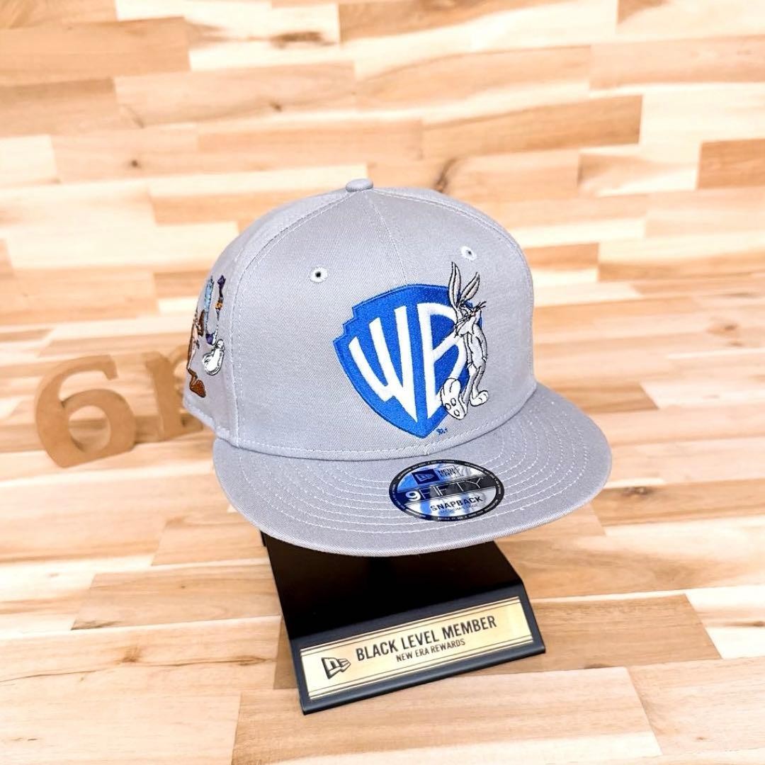 Ultra Rare New Era Warner Brothers Limited Collaboration 100th Anniversary Cap G image 2