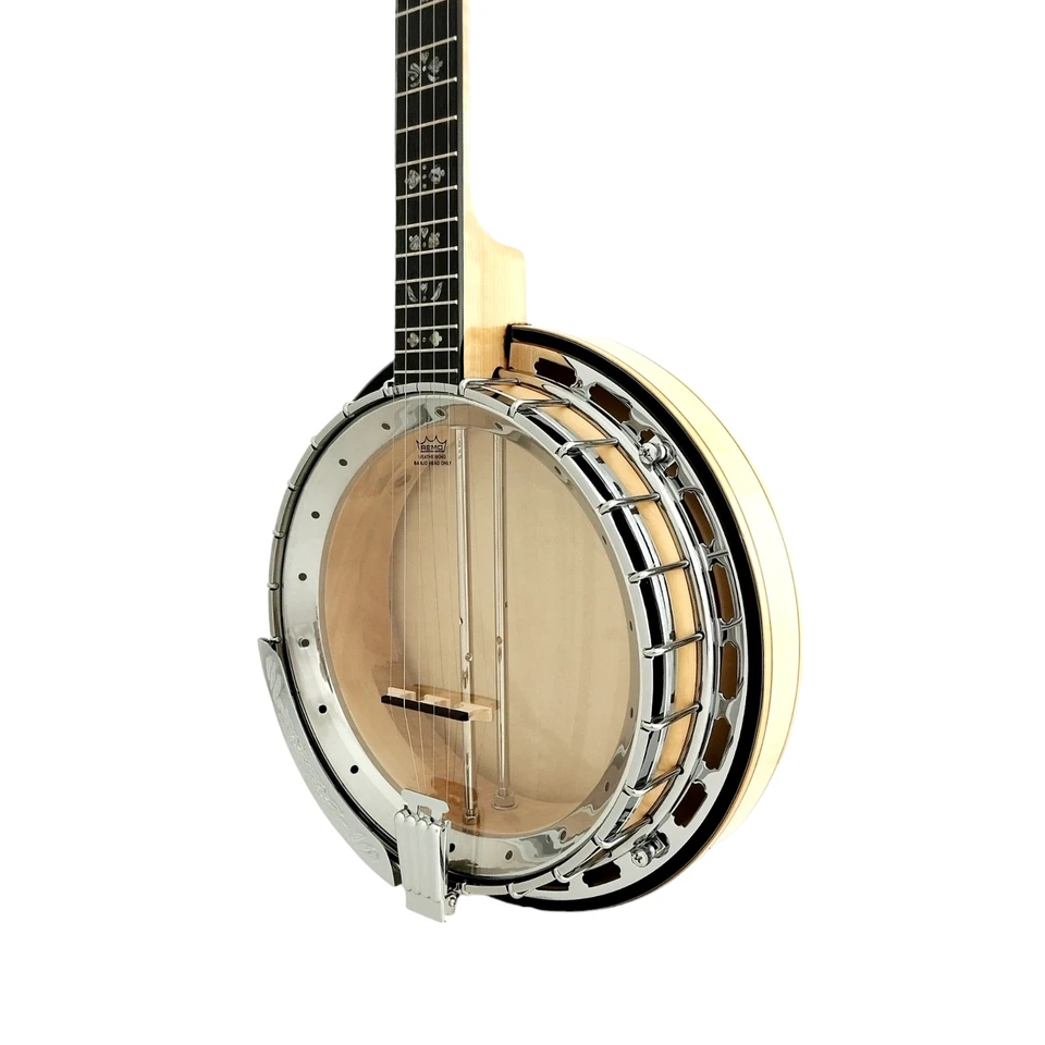 The Harmony of Tradition and Innovation BJ009AM 5-String Banjo - Image 4 of 4