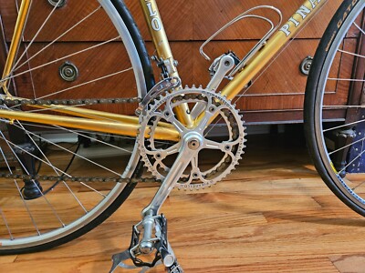 Vélo De Course Vintage Italien Pinarello - Taille Cadre 56 Cm, Groupe Campagnolo, Couleur Celeste Perlato