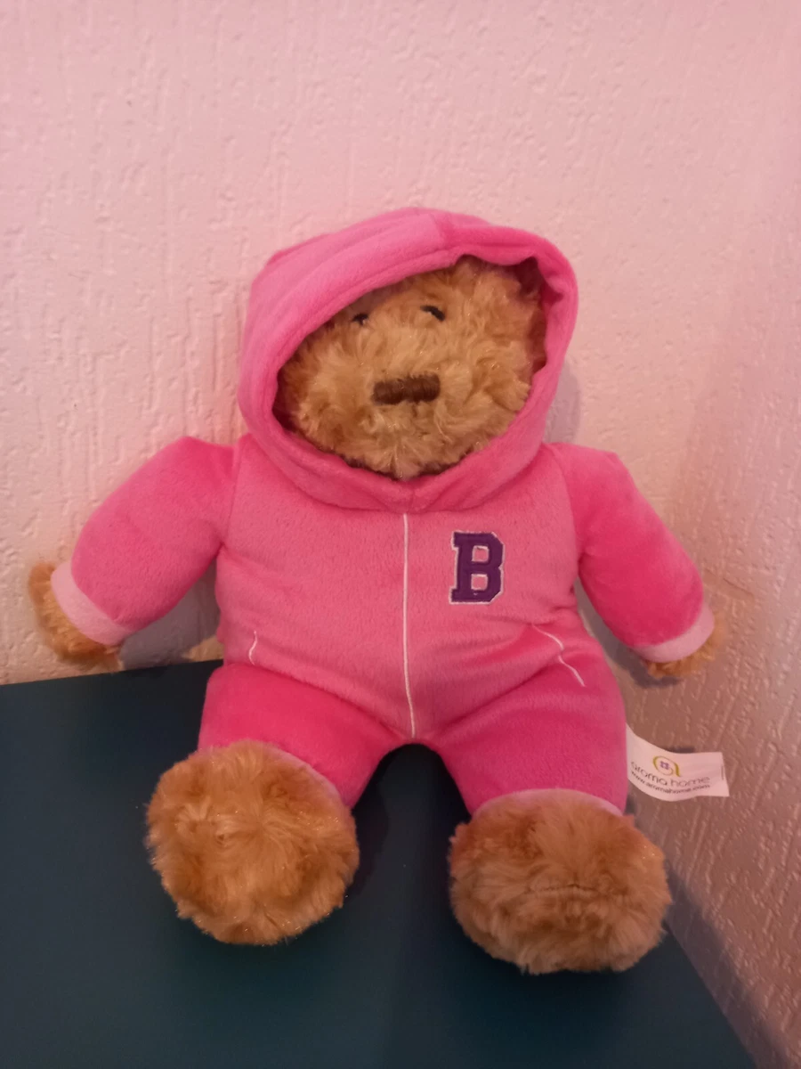 Aroma home hotsell teddy bear