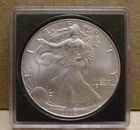 2002 American Silver Eagle Uncirculated 1oz .999 Fine Silver